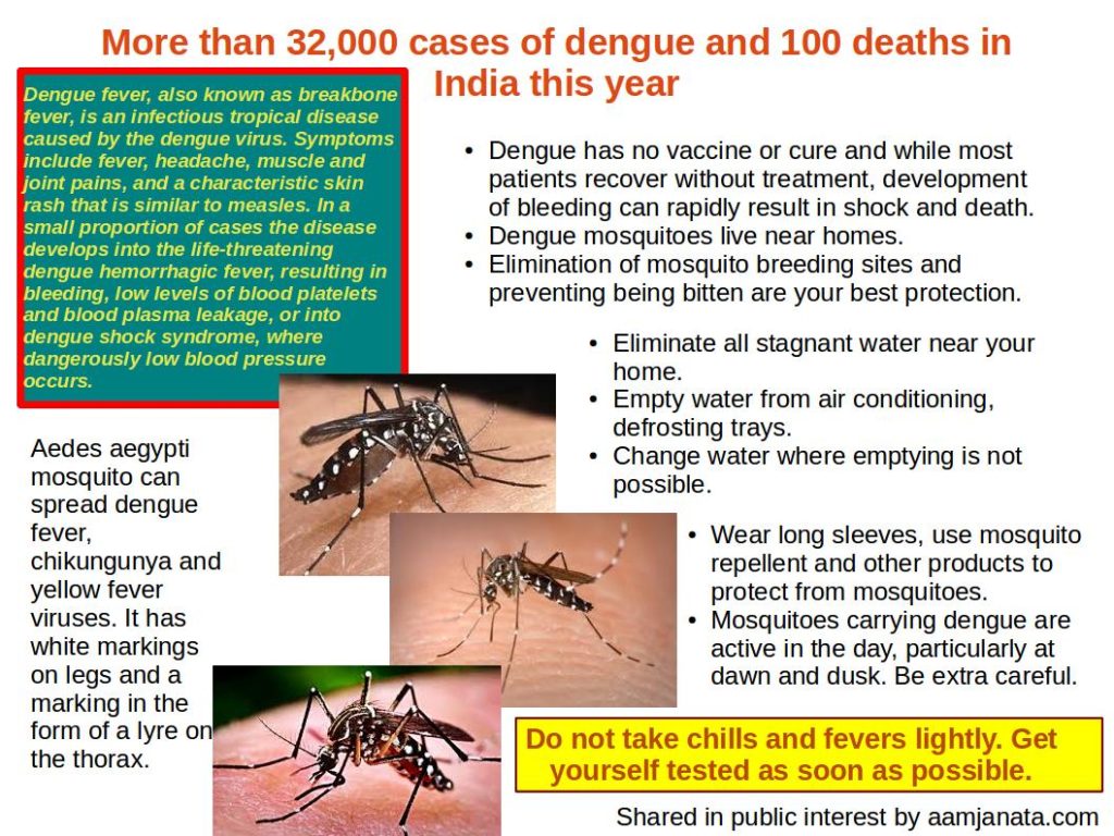 Information on dengue, mosquitoes that spread dengue and prevention