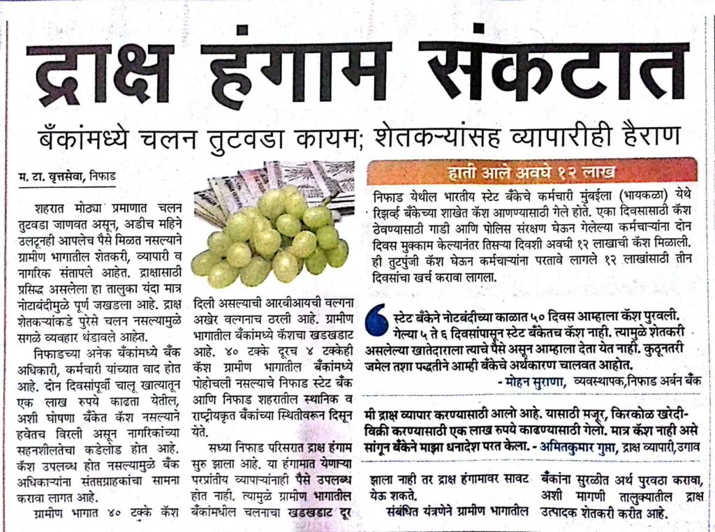 Maharashtra Times report on the impact of demonetisation on grape trade in Niphad, Nashik