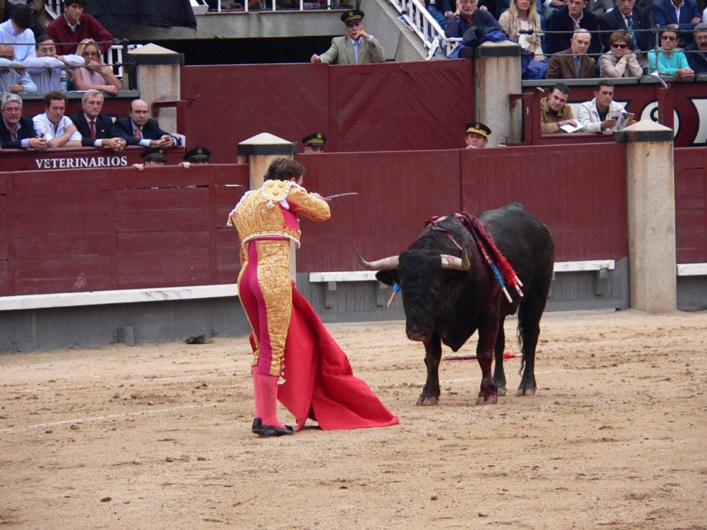 A matador before the final strike at Plaza de Toros Las Ventas, Madrid, Spain 2005