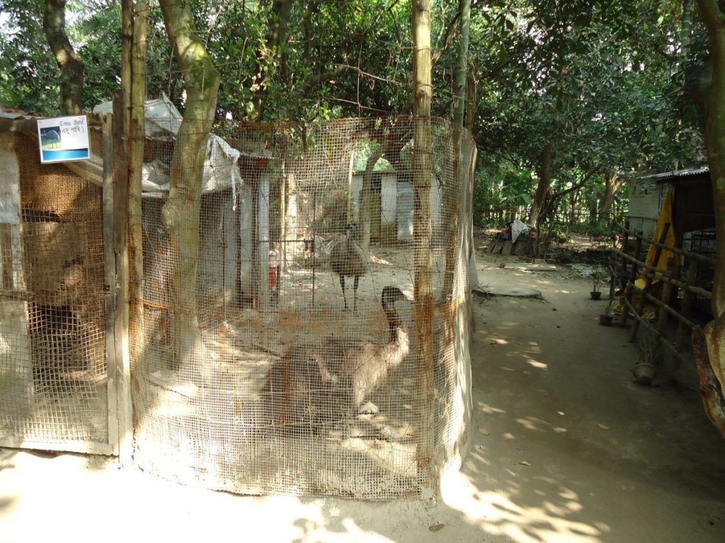 Emu Enclosure