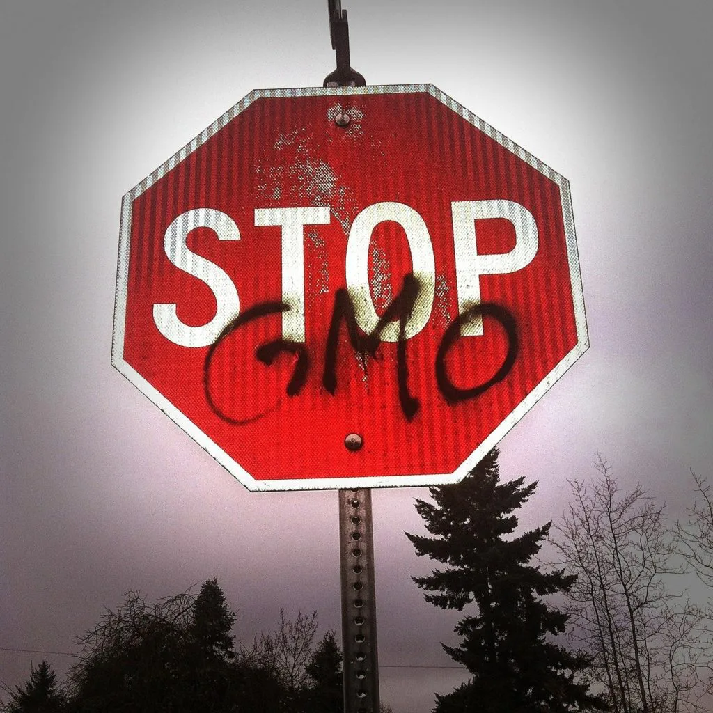 GMOs – STOP. NOW! 2