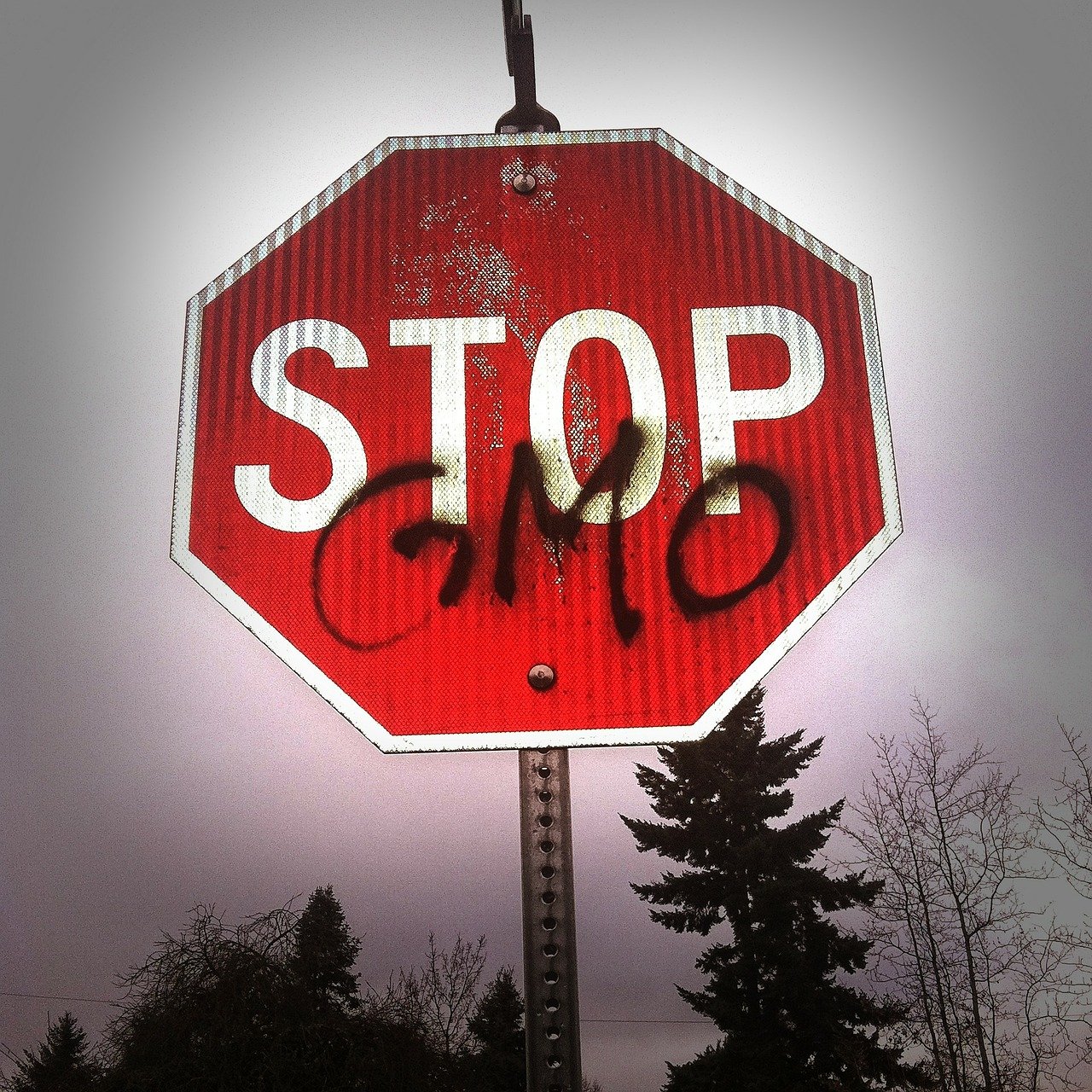 gmos-stop-now-aamjanata