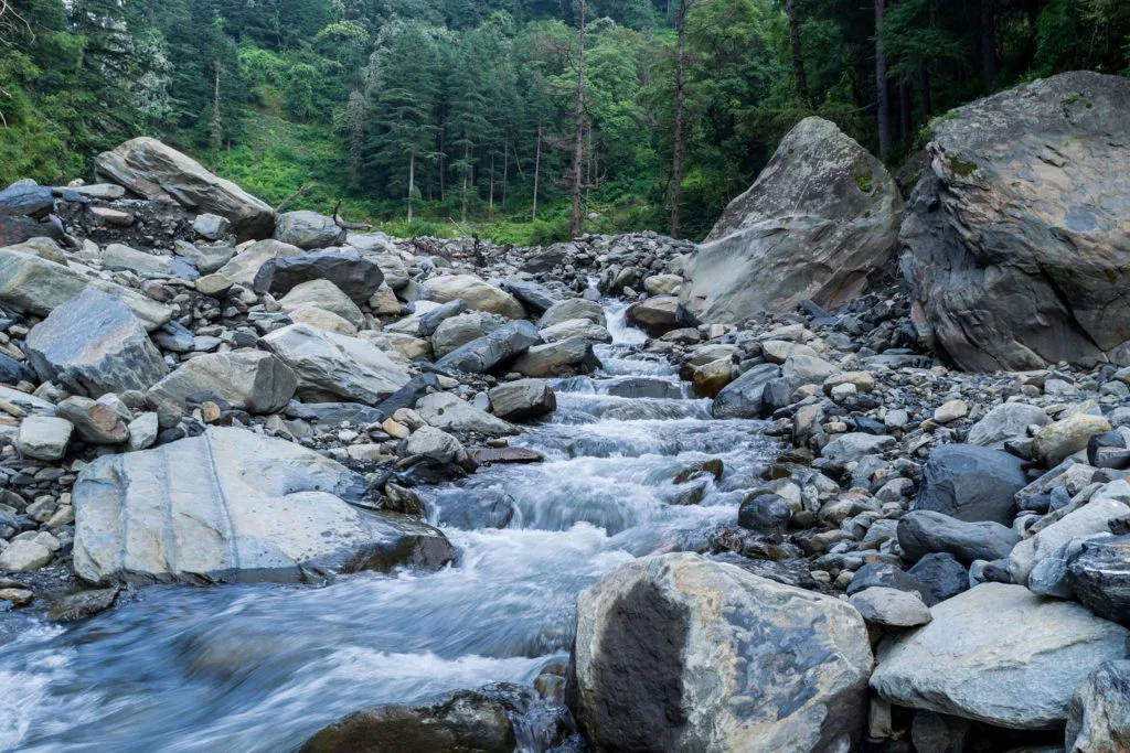 Mountain stream in alpine forest in Himachal Pradesh