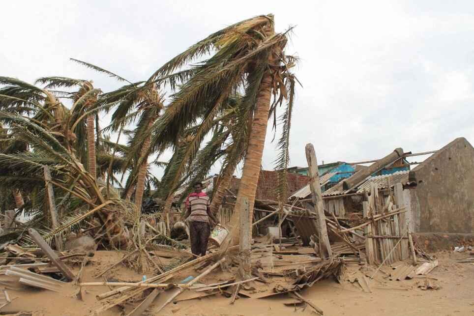 Cyclone Phailin - relief work needed 1