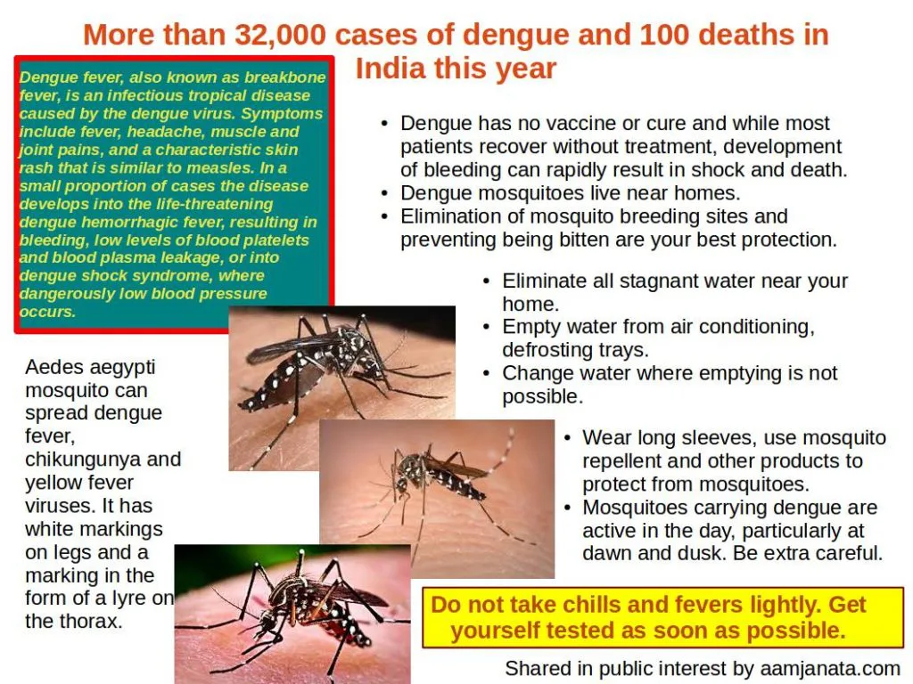 Information on dengue prevention