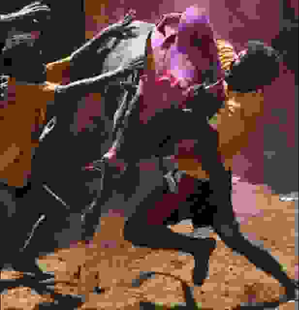 Bull taming at jallikattu, Allangur, India