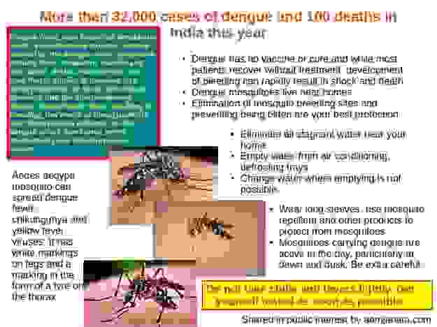 Information on dengue, mosquitoes that spread dengue and prevention