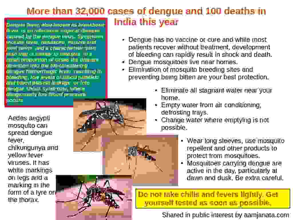 Information on dengue, mosquitoes that spread dengue and prevention