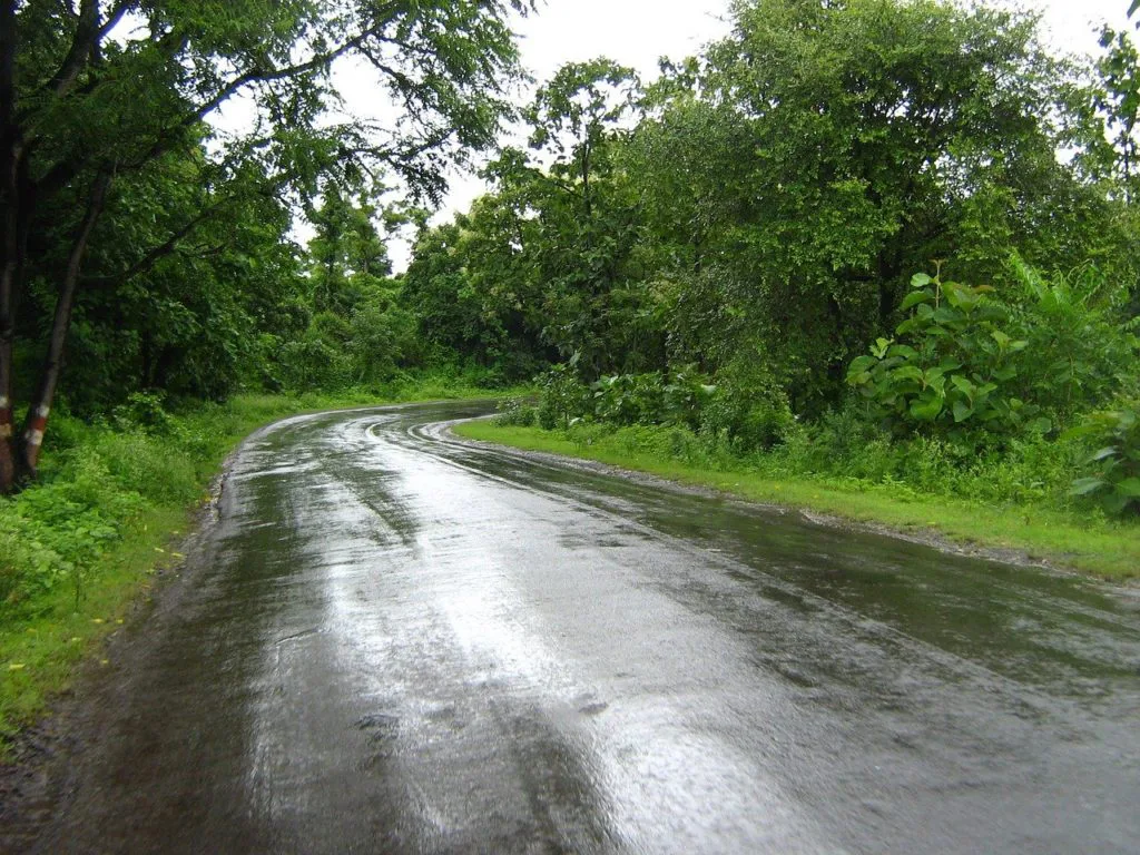 A morning bicycle ride on a rainy dawn 5