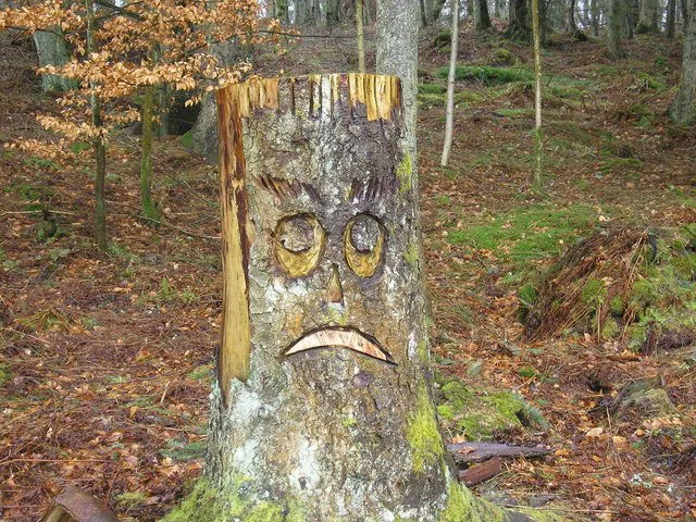 Sad face on tree stump